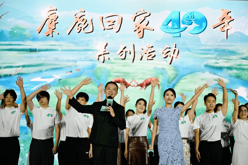 麋鹿IP系列一“鹿”锦绣隆重登场麻将胡了免费试玩麋鹿回归40载(图7)