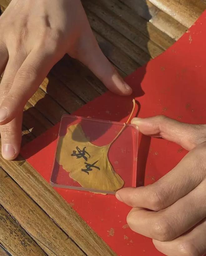 帝王树冰箱贴免费领把京西福运带回家麻将胡了免费试玩限量速冲！